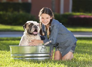 Pet Bathing